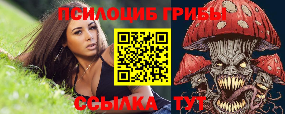 что такое   Галлюциногенные грибы GOLDEN TEACHER  Сафоново  Вход с VPN  Псилоцибиновые грибы прущие грибы 