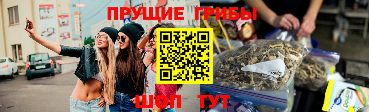Псилоцибиновые грибы GOLDEN TEACHER Сафоново